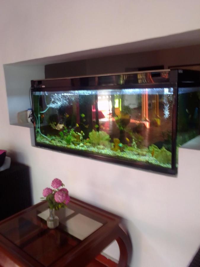 Chinácota Hotel La Casona מראה חיצוני תמונה